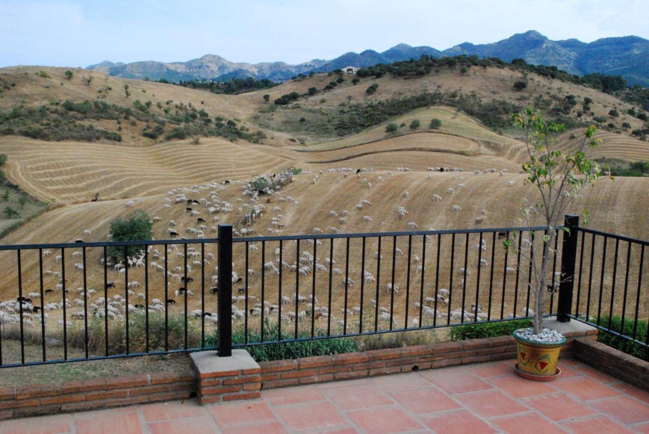 B&B Finca de los Sueños Alhaurín de la Torre Exterior foto